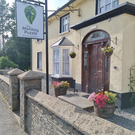 The Monkey Puzzle Hotel Bunclody Eksteriør billede