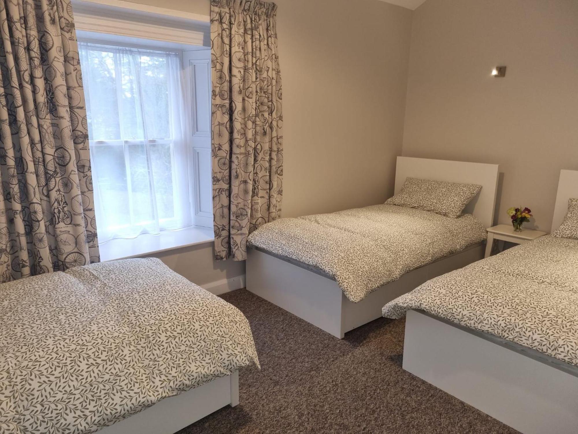 The Monkey Puzzle Hotel Bunclody Eksteriør billede