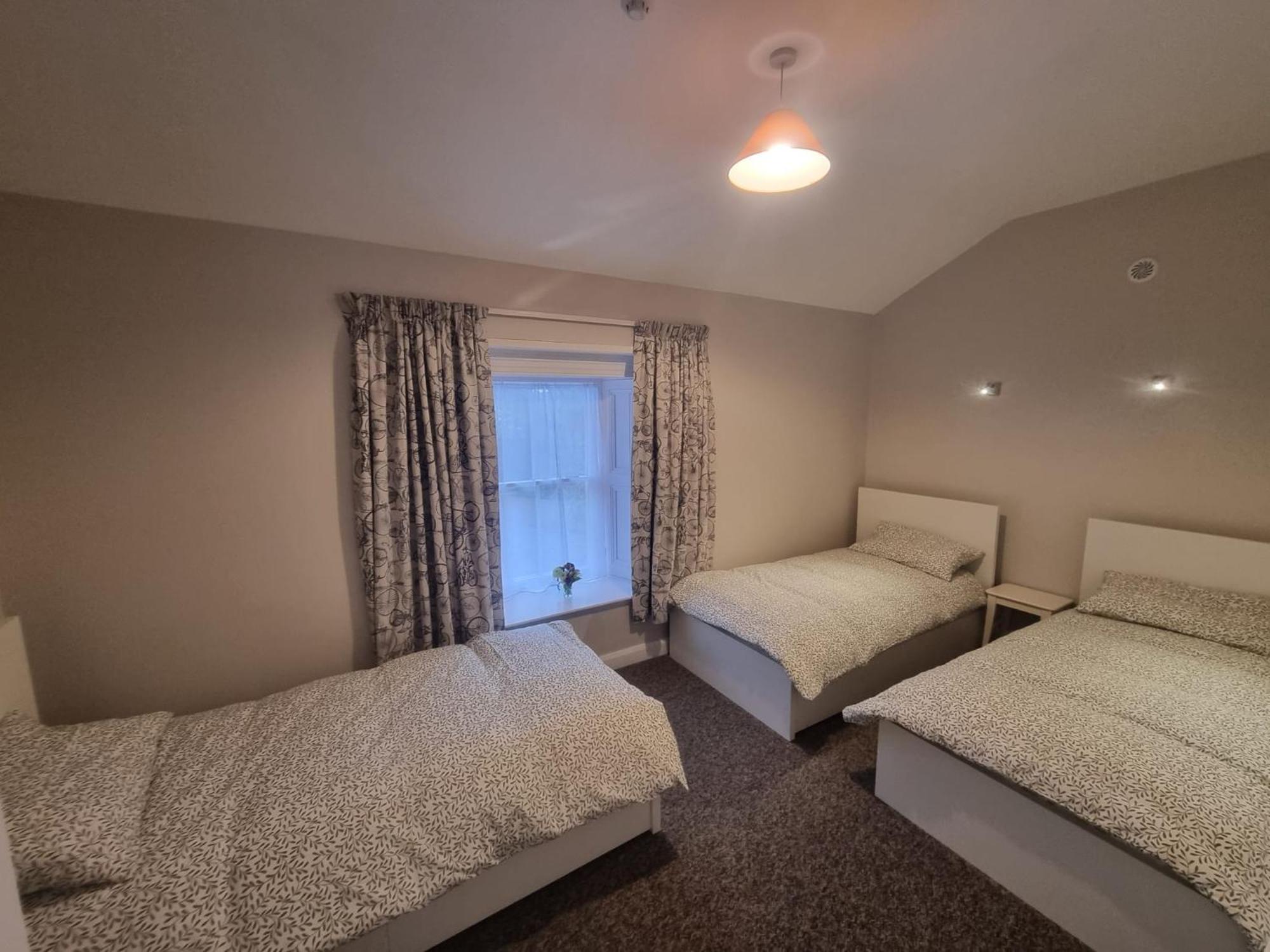 The Monkey Puzzle Hotel Bunclody Eksteriør billede