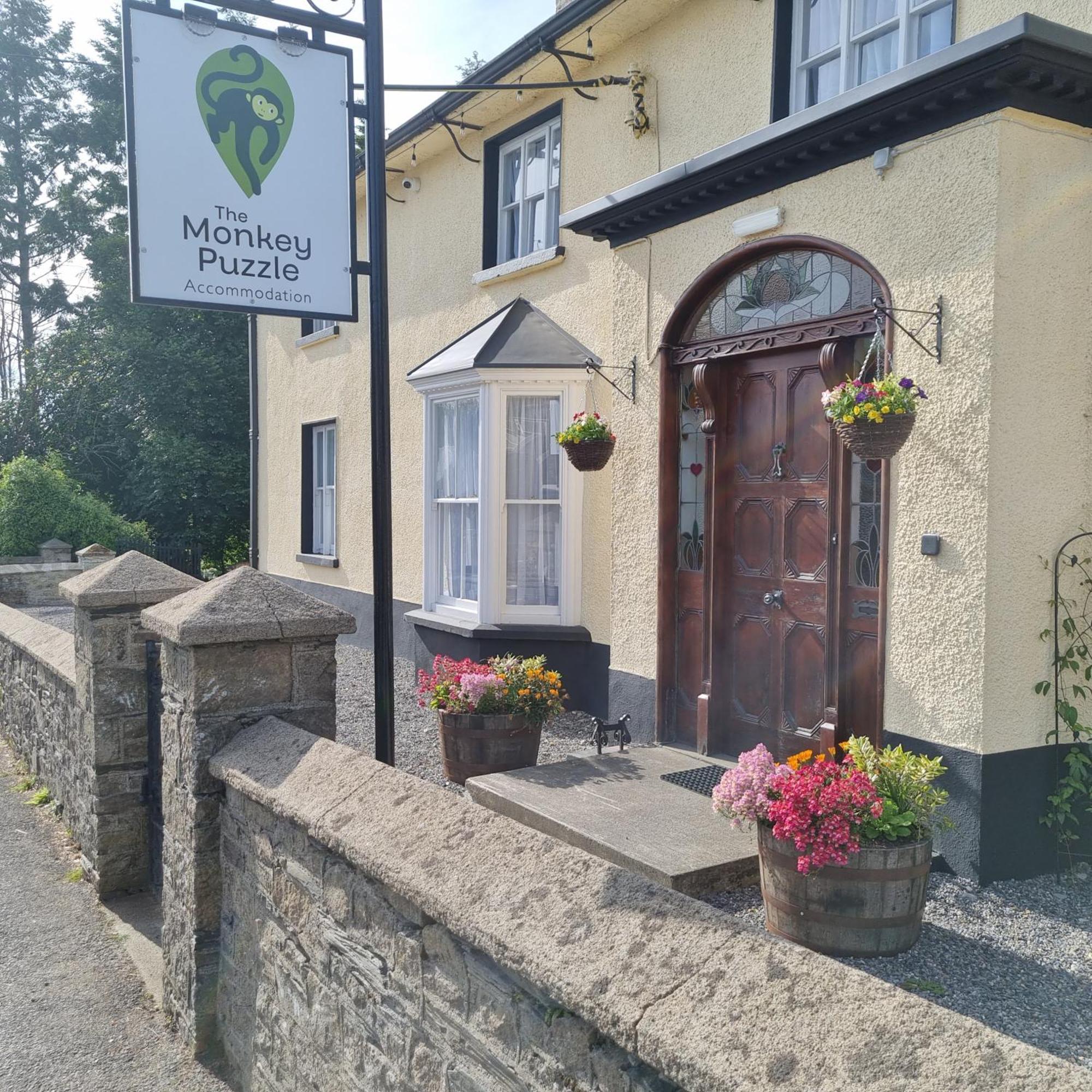 The Monkey Puzzle Hotel Bunclody Eksteriør billede