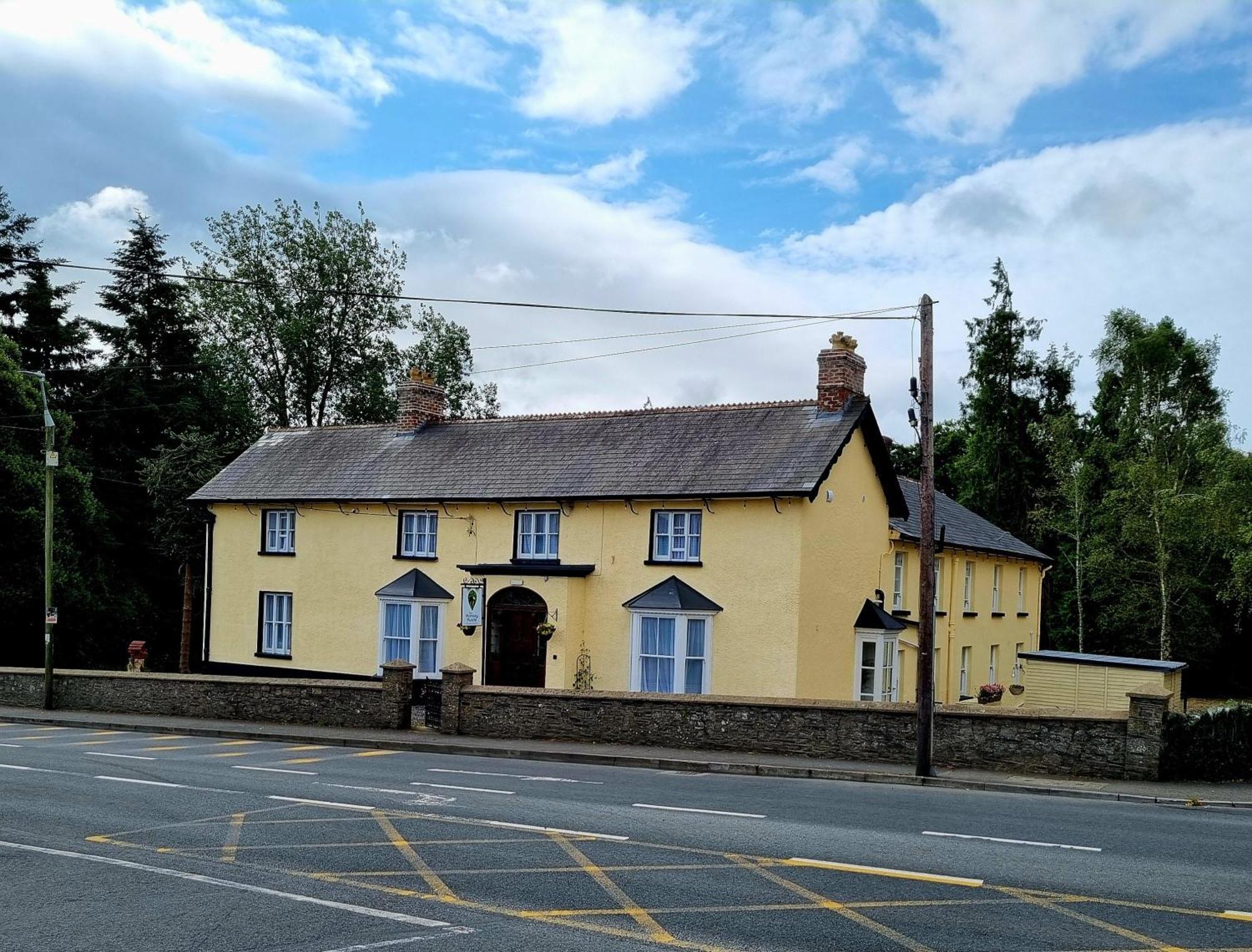 The Monkey Puzzle Hotel Bunclody Eksteriør billede