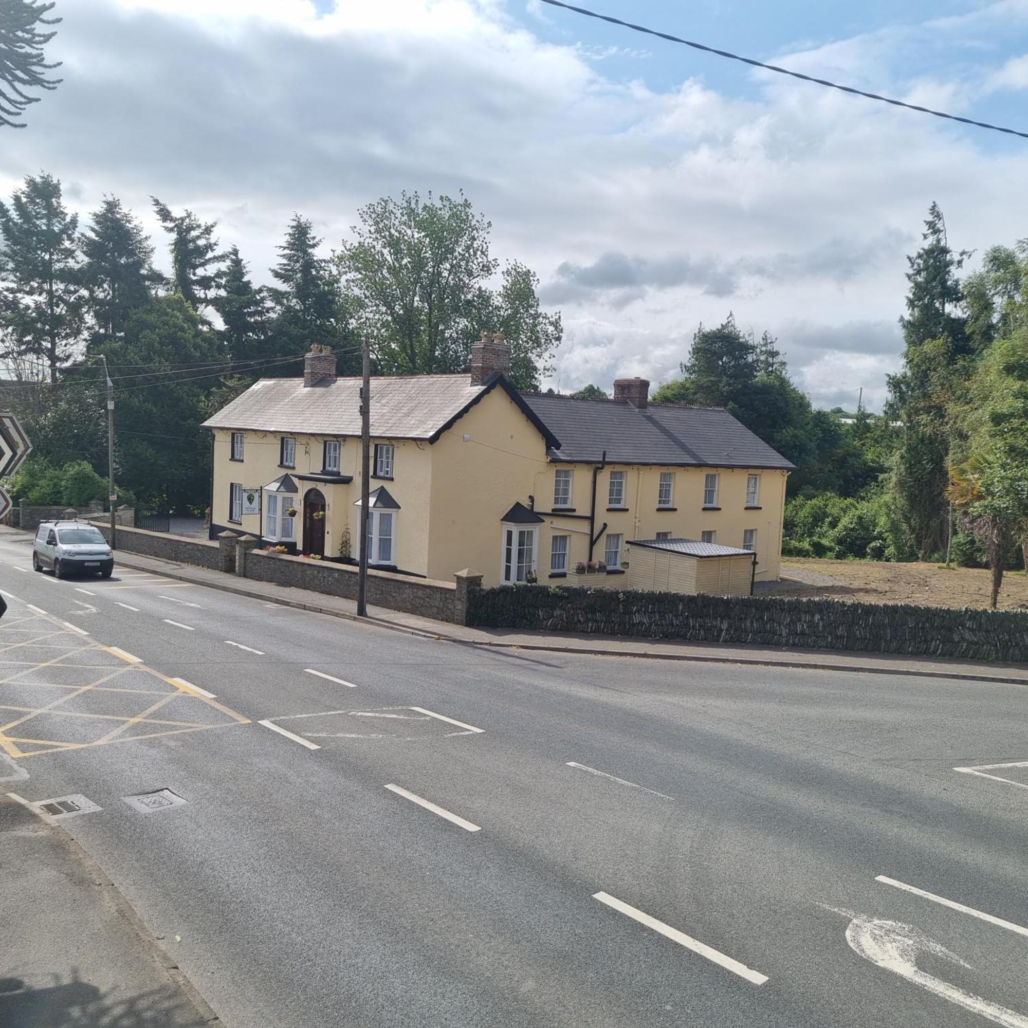 The Monkey Puzzle Hotel Bunclody Eksteriør billede